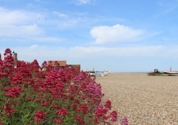 Aldeburgh Shingle Beach