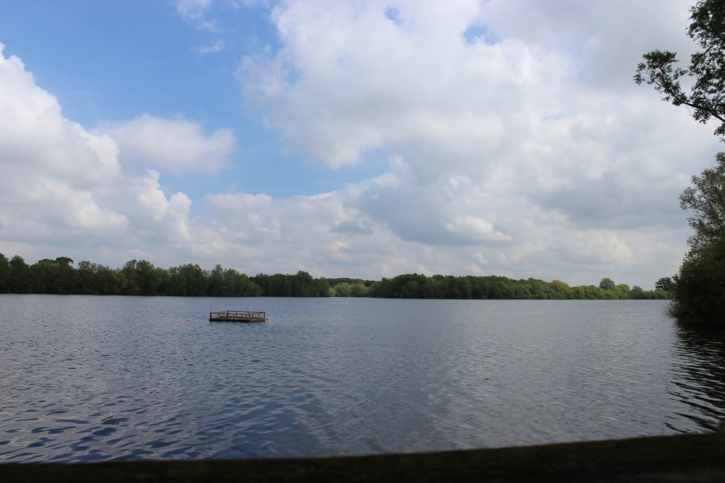 View across the water from inside the bird hide