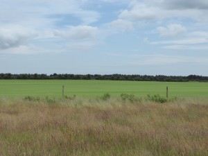 Sutton Hoo