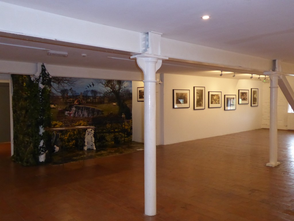 'These are our Dogs' exhibition