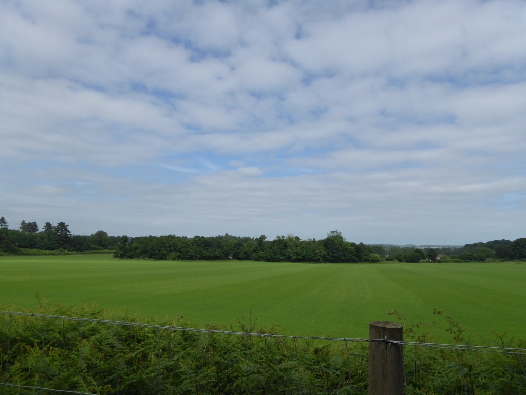 Rendlesham Forest