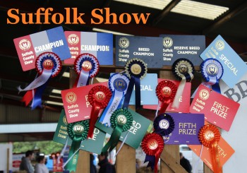 Suffolk Show