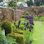 The Springtime borders coming to life!