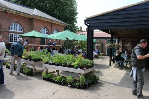 helmingham Hall coffee shop