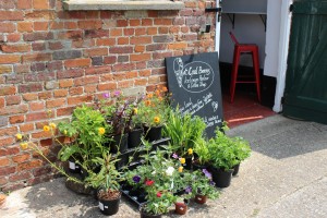 helmingham Hall coffee shop