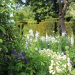 Spring border in one of the gardens