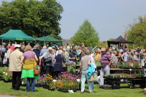 Helmingham Hall spring plant fair