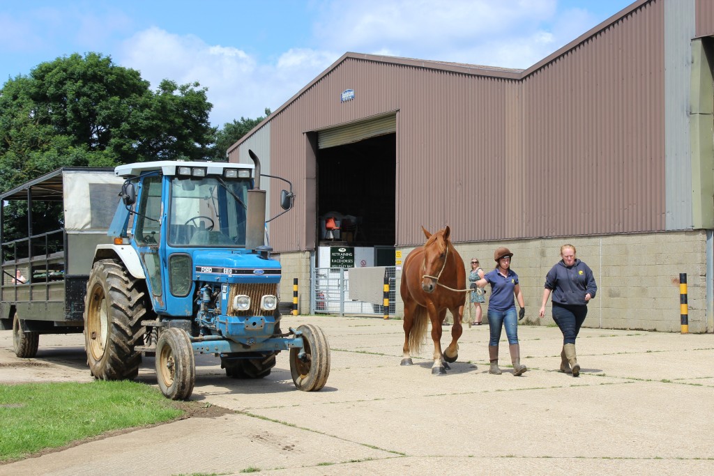 Suffolk Punch Trust