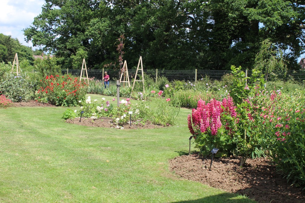 Suffolk Heritage Garden