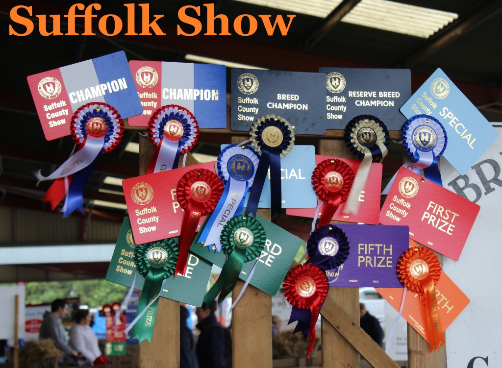 Suffolk Show