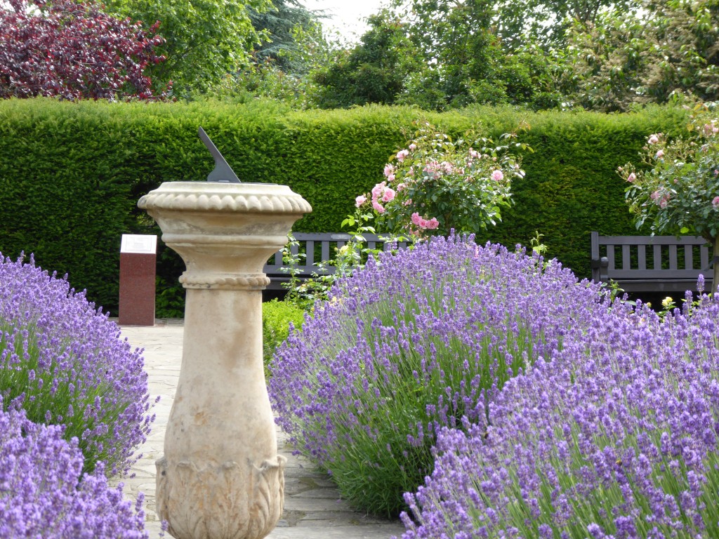 Appleby Rose Gardens, Abbey Gardens