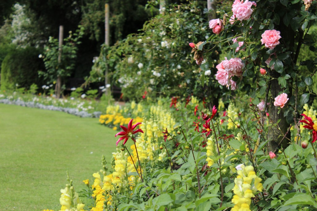 Abbey Gardens flower bed
