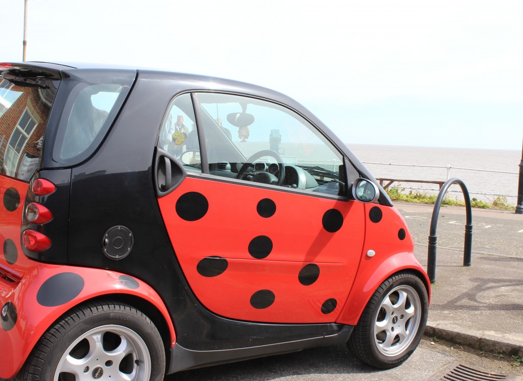 Ladybird Car