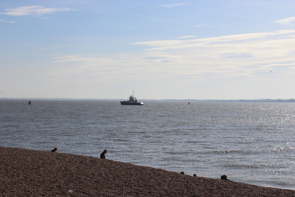 View from landguard Visitor Centre