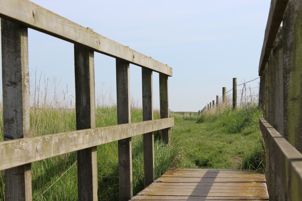 Orford walk