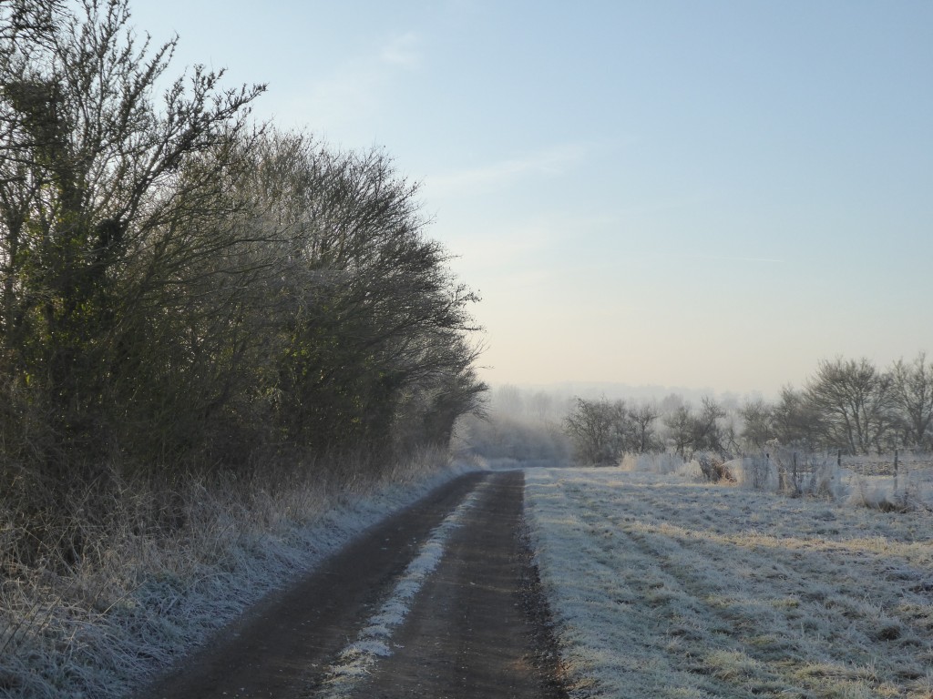 Suffolk footpath