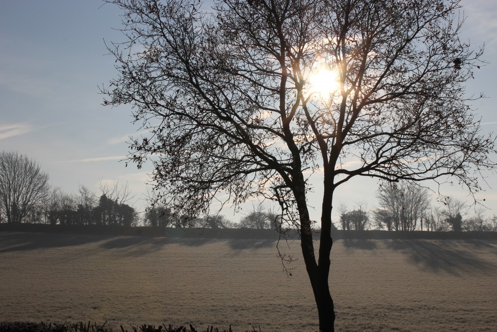 Suffolk country lanes