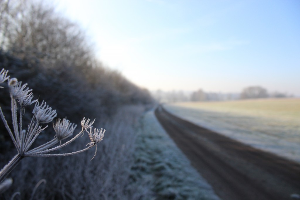 Suffolk frost