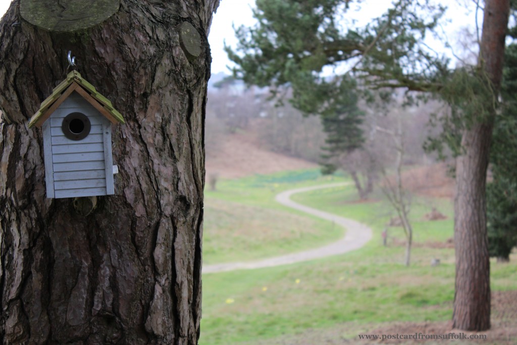 Sutton Hoo bird box