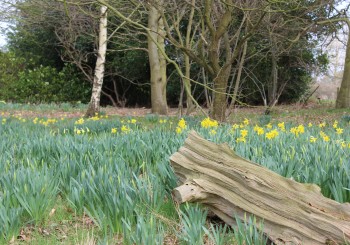 Sutton Hoo