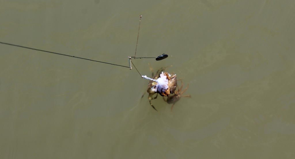 Crabbing at Walberswick