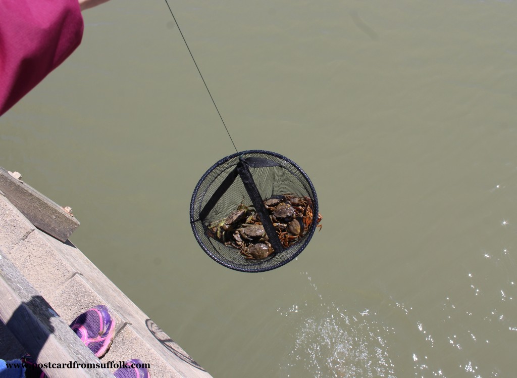 Crabbing at Walberswick