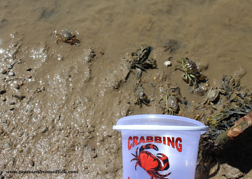 Crabbing in Walberswick