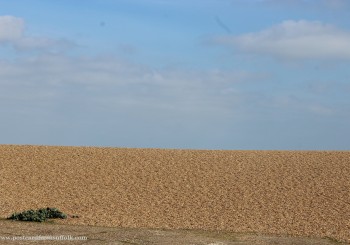 Shingle Street Suffolk