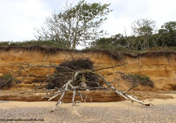 Covehithe