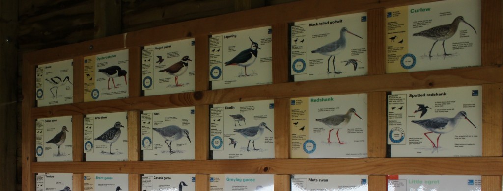 A guide on the wall of the hide showing you what you can expect to see