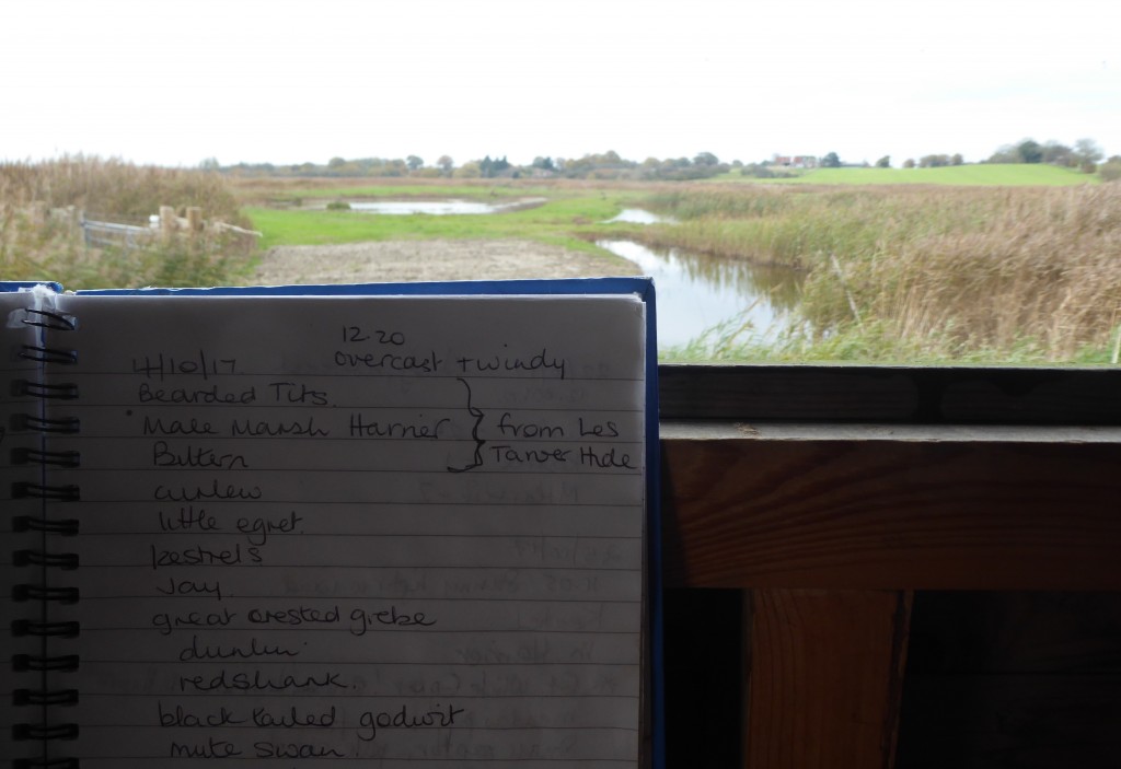 Hen Reedbeds