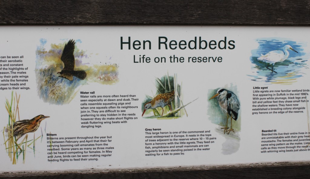 Hen Reedbeds