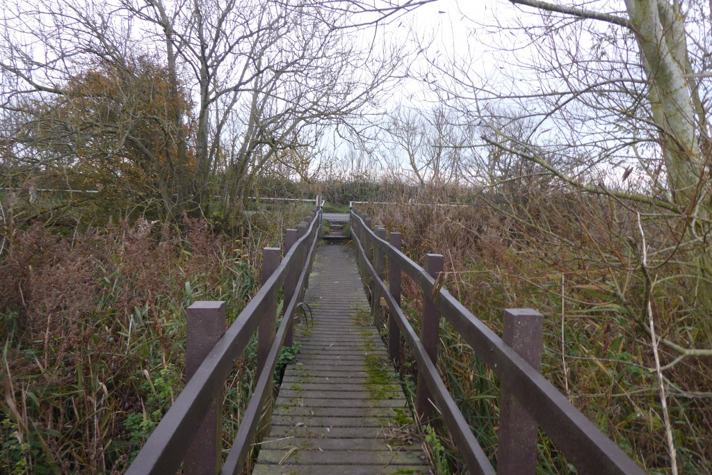 Hen Reedbeds