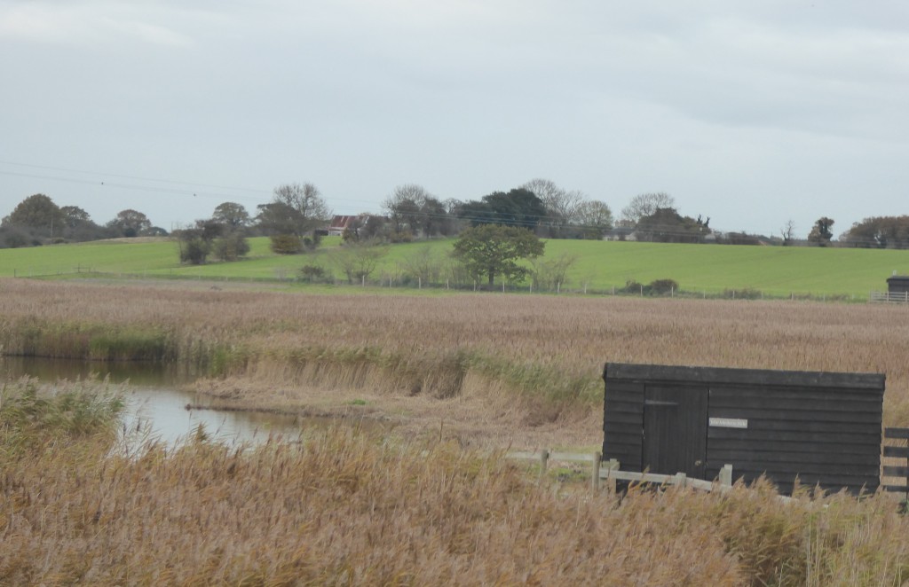 Hen Reedbeds Hide