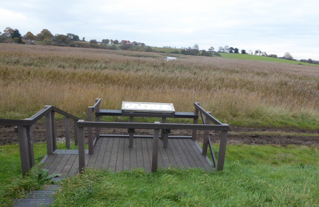 Hen reedbeds viewing platform