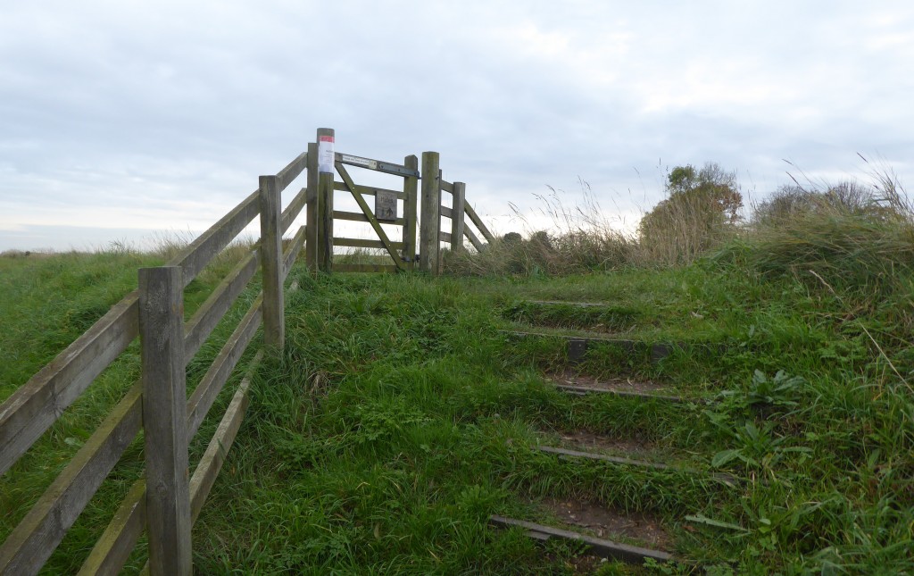 Hen Reedbeds