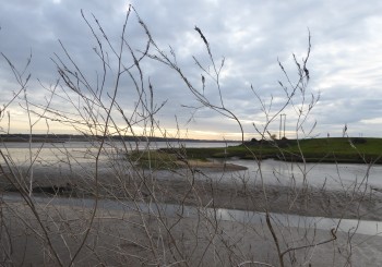 Hen Reedbeds