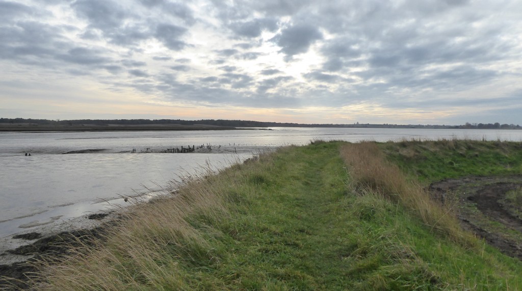 Hen Reedbeds