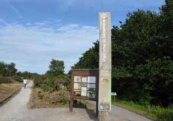 Minsmere