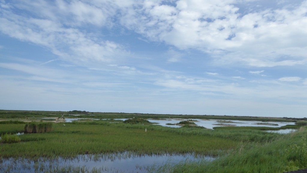 Minsmere