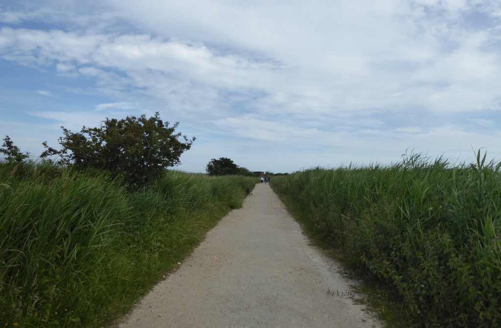 Minsmere