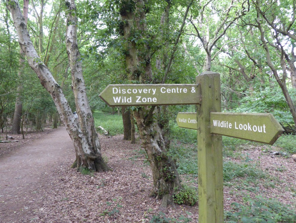 minsmere