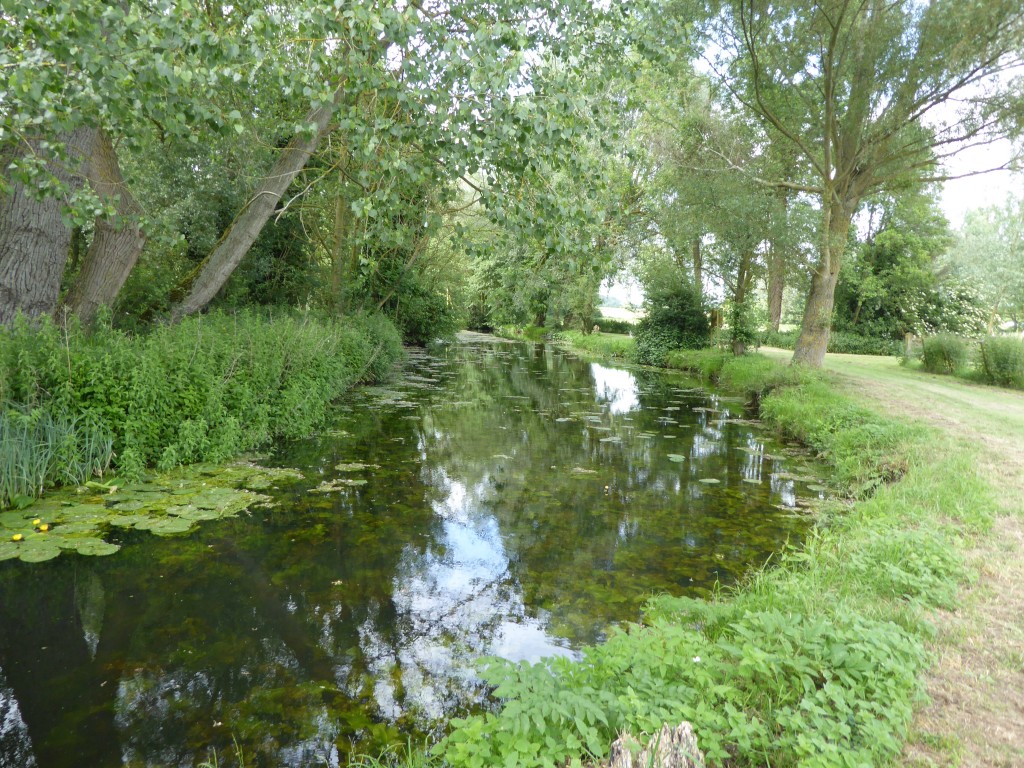 River Deben at Easton Farm Park