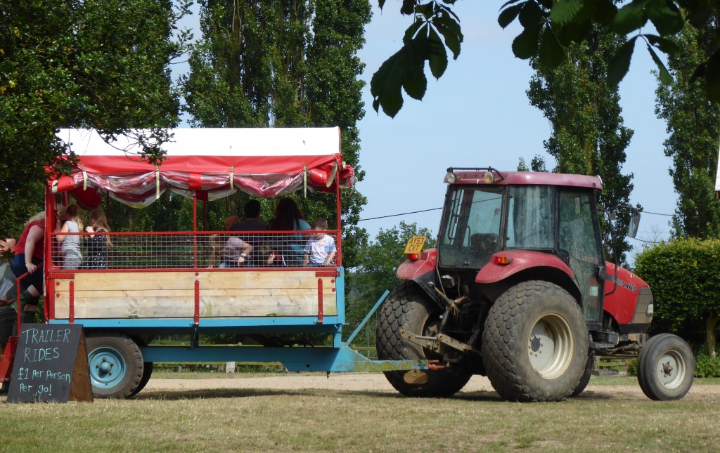 tractor ride at easton farm park