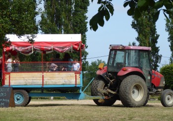 tractor ride at easton farm park