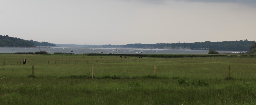 view from suffolk food hall