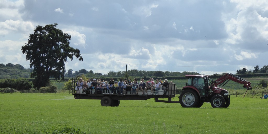 tractor fair suffolk food hall