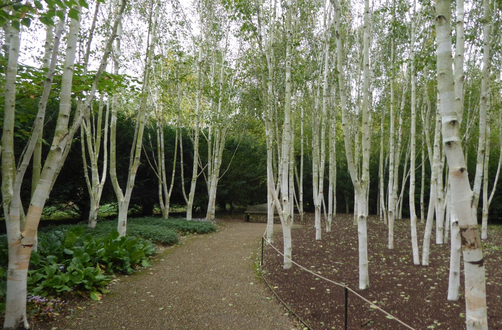 Anglesey Abbey gardens