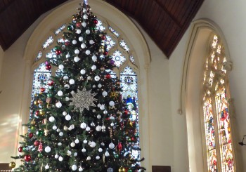 Stowmarket Christmas Tree festival