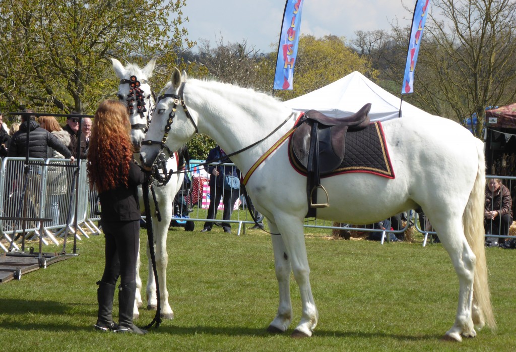 Framlingham country show